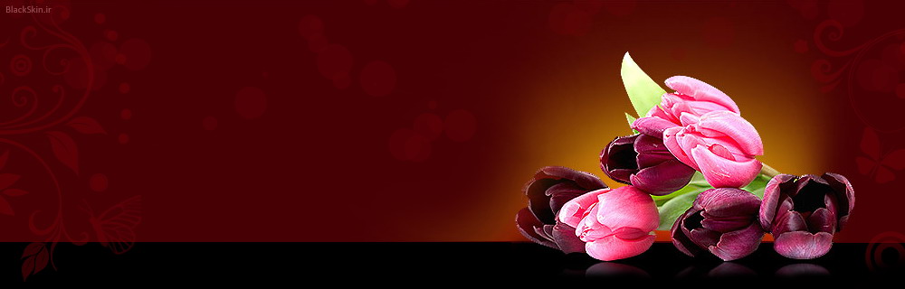 http://blackskin.ir/theme/123/header.jpg